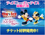 2010 ディズニー・オン・アイス 日本公演25周年記念作品「ミッキー&ミニーのファンタジーツアー」