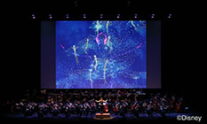 くるみ割り人形