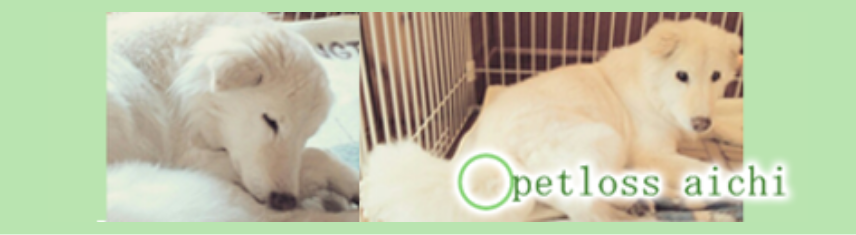 ペットロス愛知