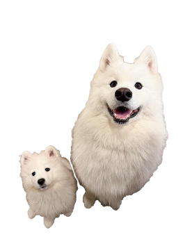 りんたろうくん＆かのんちゃん