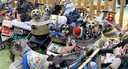 ワンちゃんオフ会