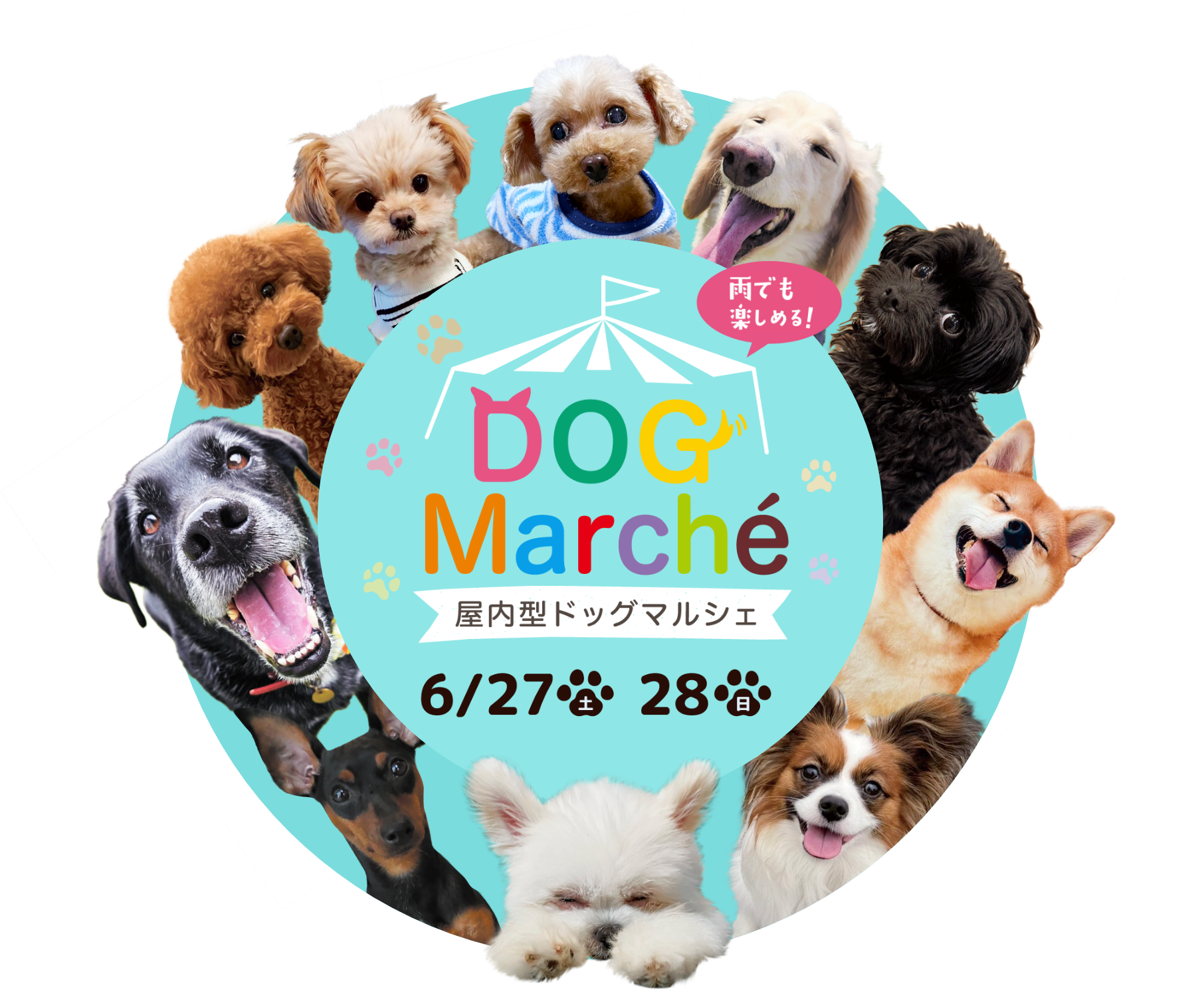 DOG Marché、屋内型ドッグマルシェ。6/27・28。雨でも楽しめる！