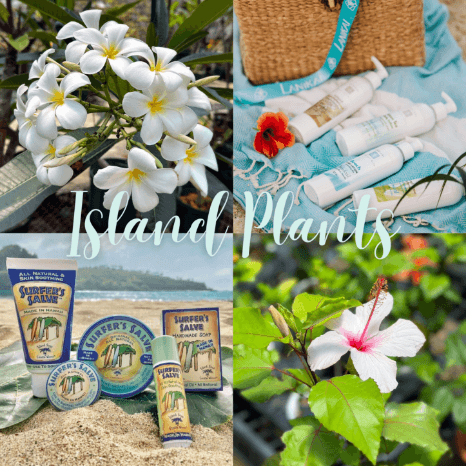 Island Plants