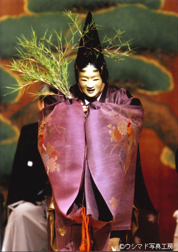 流風の美 [名古屋に生きる狂言装束] 芸艸堂 流風の美 [名古屋に生きる 